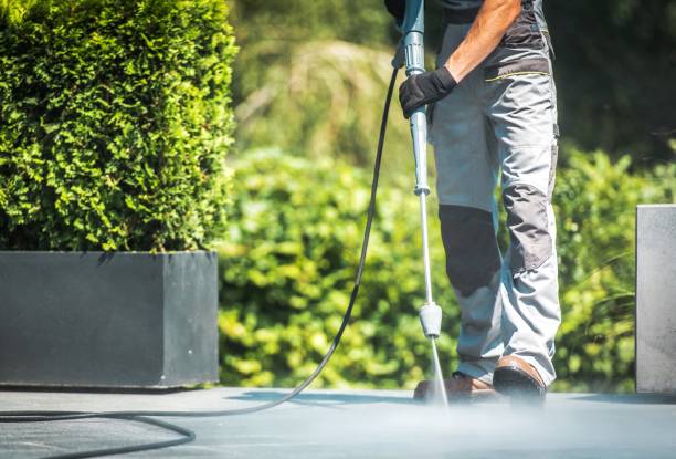 Best Roof Washing  in Carlyss, LA
